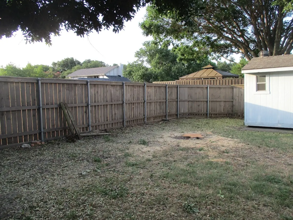 Cleared yard after professional tree removal in New Paltz