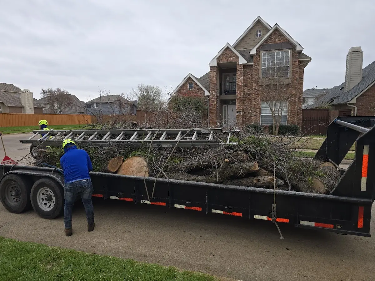 Expert Tree Fertilization with proper safety equipment in New Paltz